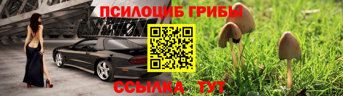 Курчатов  Галлюциногенные грибы мухоморы  Псилоцибиновые грибы Psilocybine cubensis  Вход с VPN 