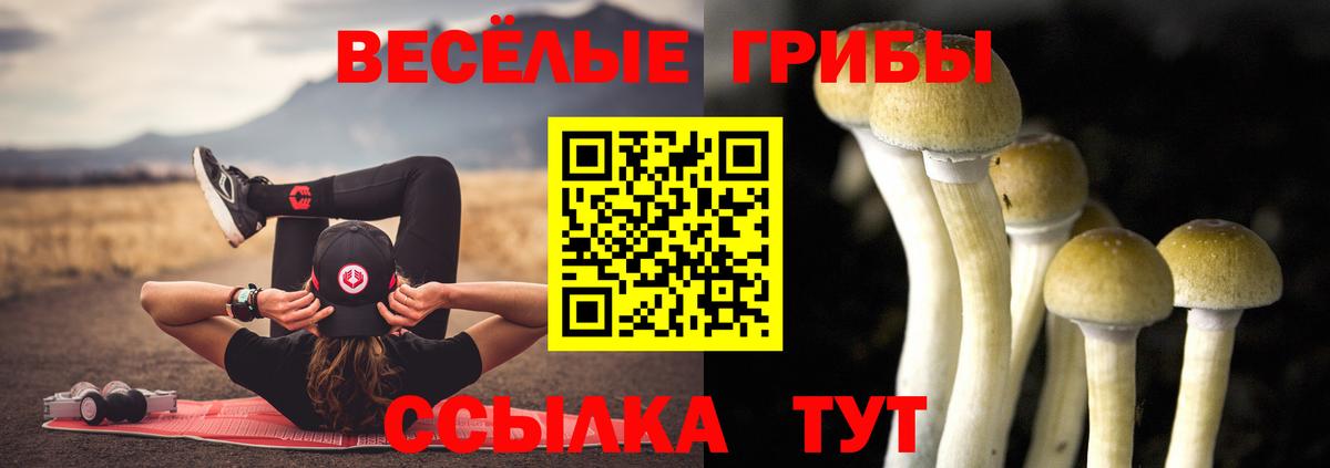 Псилоцибиновые грибы Magic Shrooms Курчатов